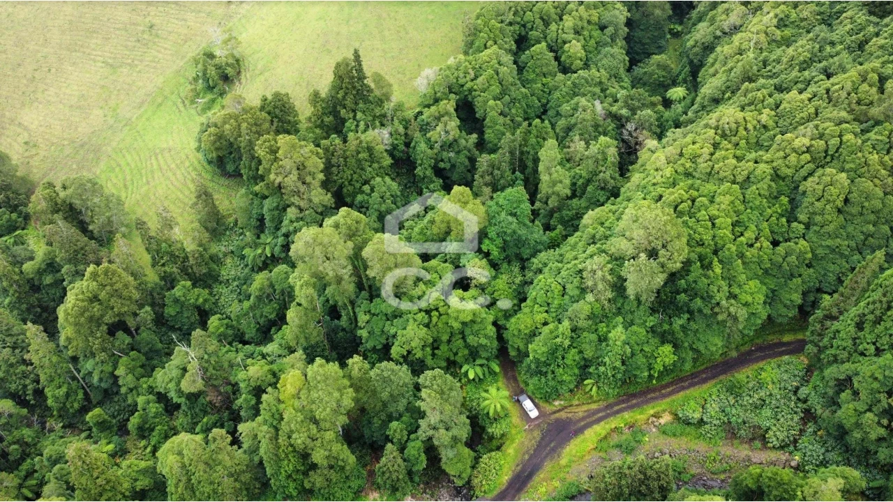Terreno para Venda em Santo Antonio de Nordestinho Foto 8