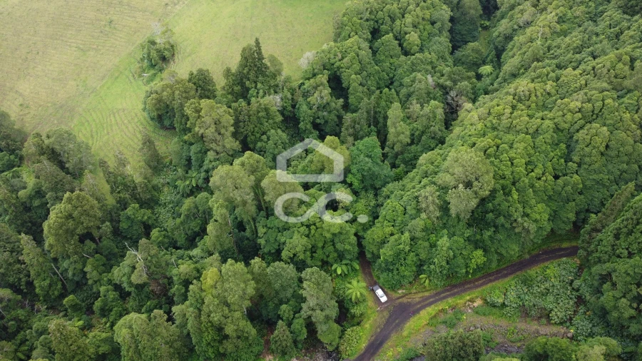 Terreno para Venda em Santo Antonio de Nordestinho Foto 5