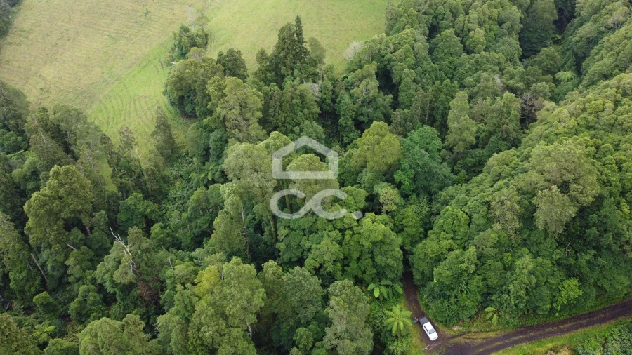 Terreno para Venda em Santo Antonio de Nordestinho Foto 4
