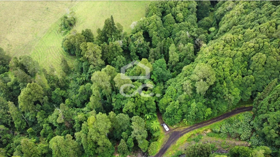 Terreno para Venda em Santo Antonio de Nordestinho Foto 8