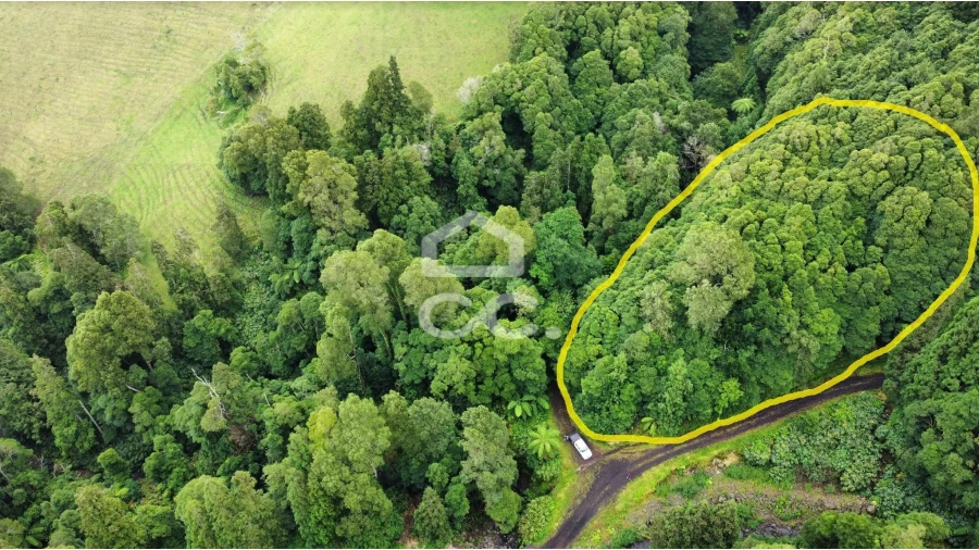 Terreno para Venda em Santo Antonio de Nordestinho Foto 3