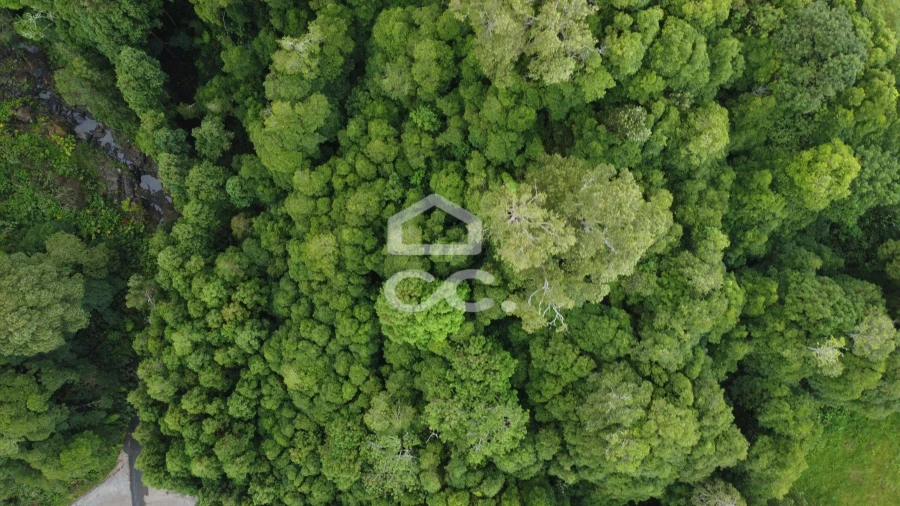 Terreno para Venda em Santo Antonio de Nordestinho Foto 2
