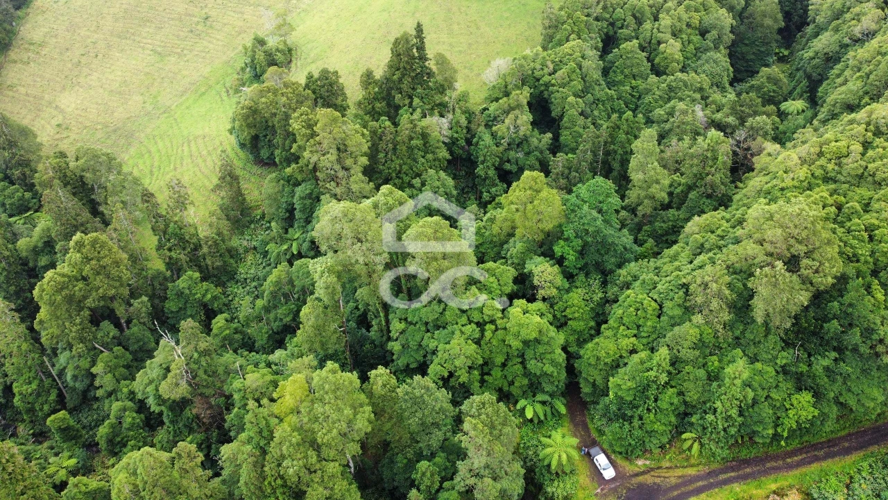 Terreno para Venda em Santo Antonio de Nordestinho Foto 7