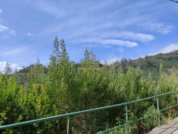 Terreno para Venda em Calheta