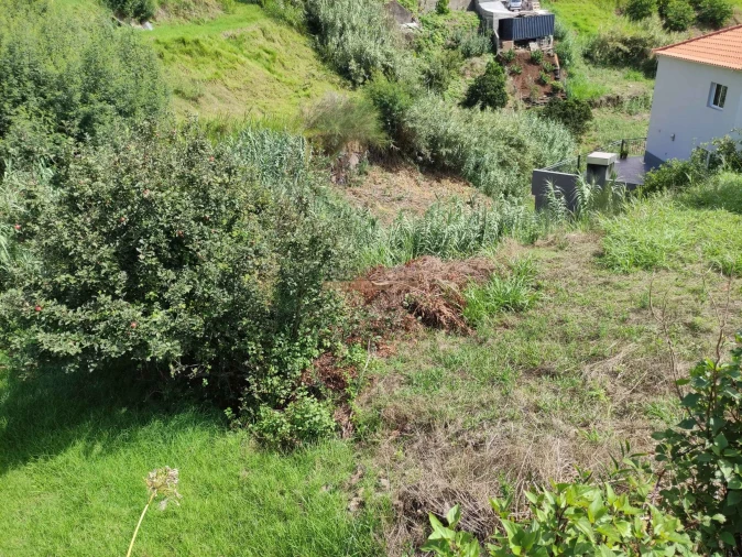 Terreno para Venda em Calheta Foto 4