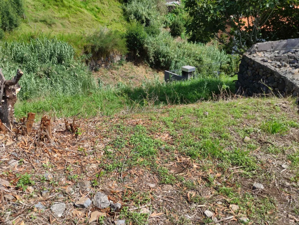 Terreno para Venda em Calheta Foto 6