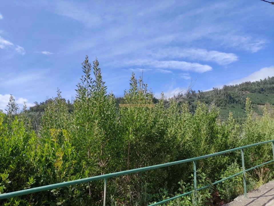 Terreno para Venda em Calheta Foto 2