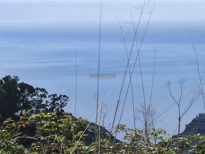 Terreno para Venda em Calheta Foto 6