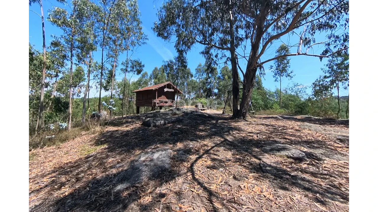 Terreno para Venda em Espinho Foto 12