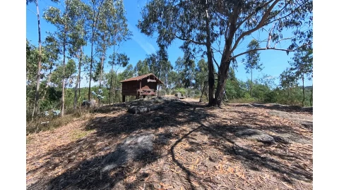 Terreno para Venda em Espinho