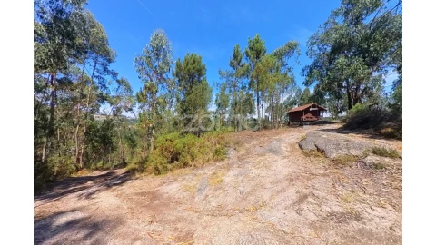 Terreno para Venda em Espinho
