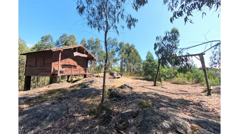 Terreno para Venda em Espinho