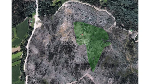 Terreno para Venda em Espinho