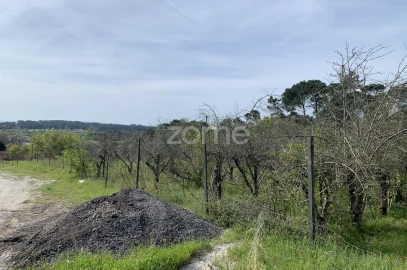 Terreno para Venda em Faíl e Vila Chã de Sá