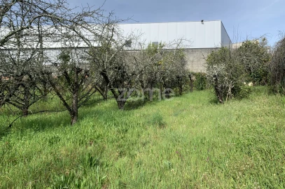 Terreno para Venda em Faíl e Vila Chã de Sá