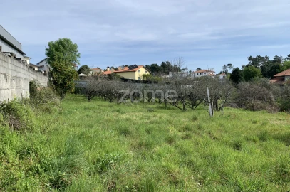 Terreno para Venda em Faíl e Vila Chã de Sá