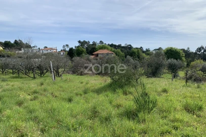Terreno para Venda em Faíl e Vila Chã de Sá