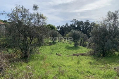 Terreno para Venda em Faíl e Vila Chã de Sá