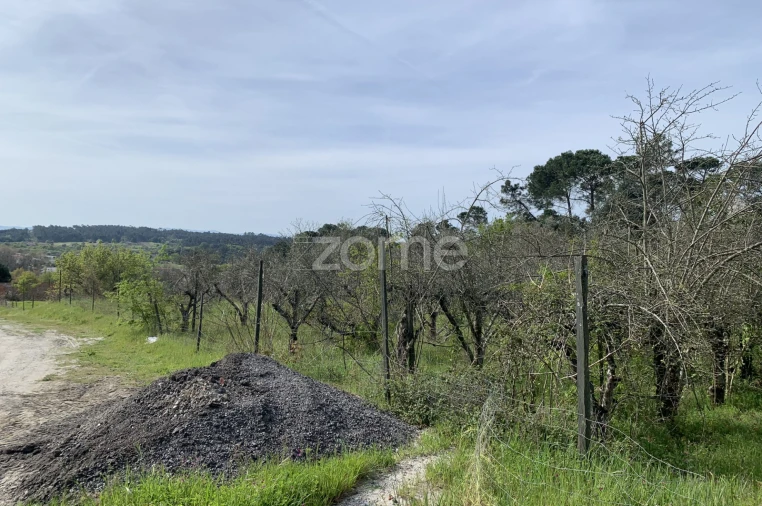 Terreno para Venda em Faíl e Vila Chã de Sá Foto 13