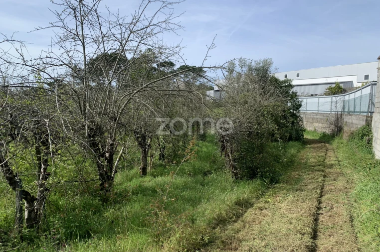 Terreno para Venda em Faíl e Vila Chã de Sá Foto 2