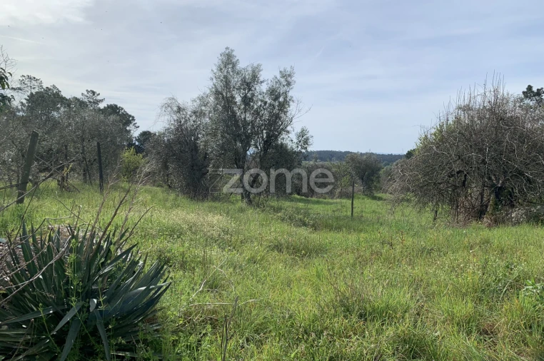 Terreno para Venda em Faíl e Vila Chã de Sá Foto 3