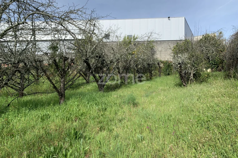 Terreno para Venda em Faíl e Vila Chã de Sá Foto 14