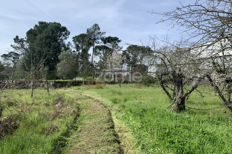 Terreno para Venda em Faíl e Vila Chã de Sá Foto 5