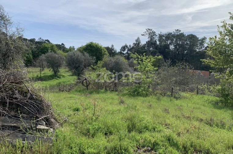 Terreno para Venda em Faíl e Vila Chã de Sá Foto 7