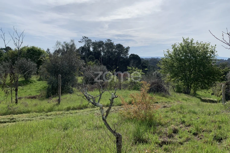 Terreno para Venda em Faíl e Vila Chã de Sá Foto 10
