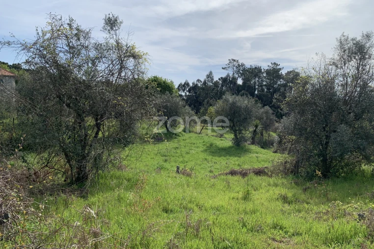 Terreno para Venda em Faíl e Vila Chã de Sá Foto 11