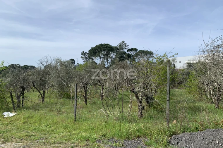 Terreno para Venda em Faíl e Vila Chã de Sá Foto 12