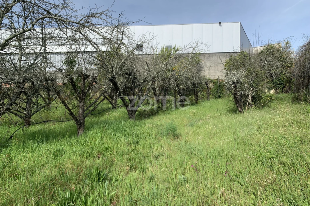 Terreno para Venda em Faíl e Vila Chã de Sá Foto 14