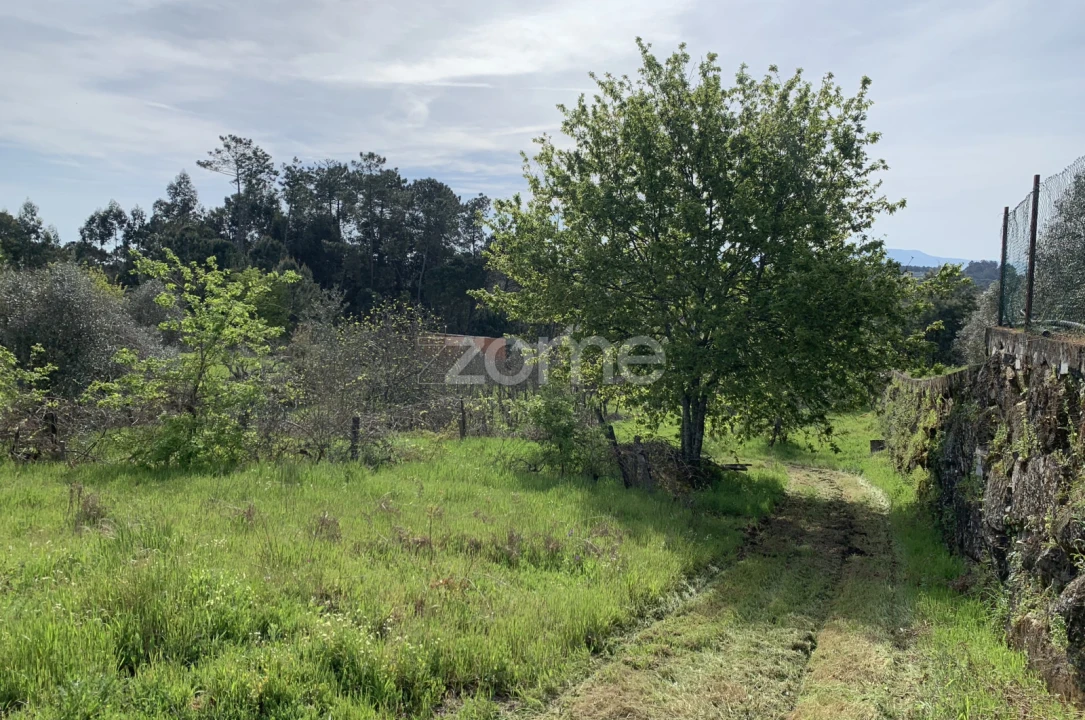 Terreno para Venda em Faíl e Vila Chã de Sá Foto 8