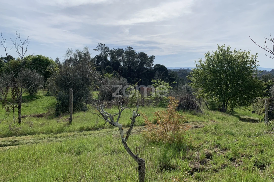 Terreno para Venda em Faíl e Vila Chã de Sá Foto 10