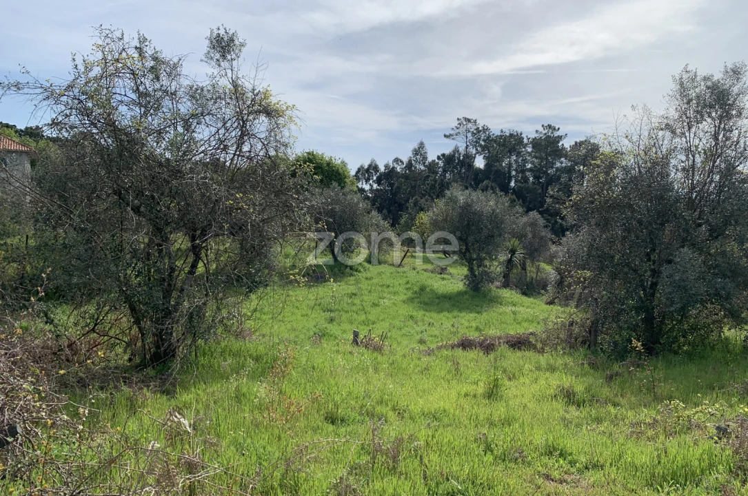 Terreno para Venda em Faíl e Vila Chã de Sá Foto 11