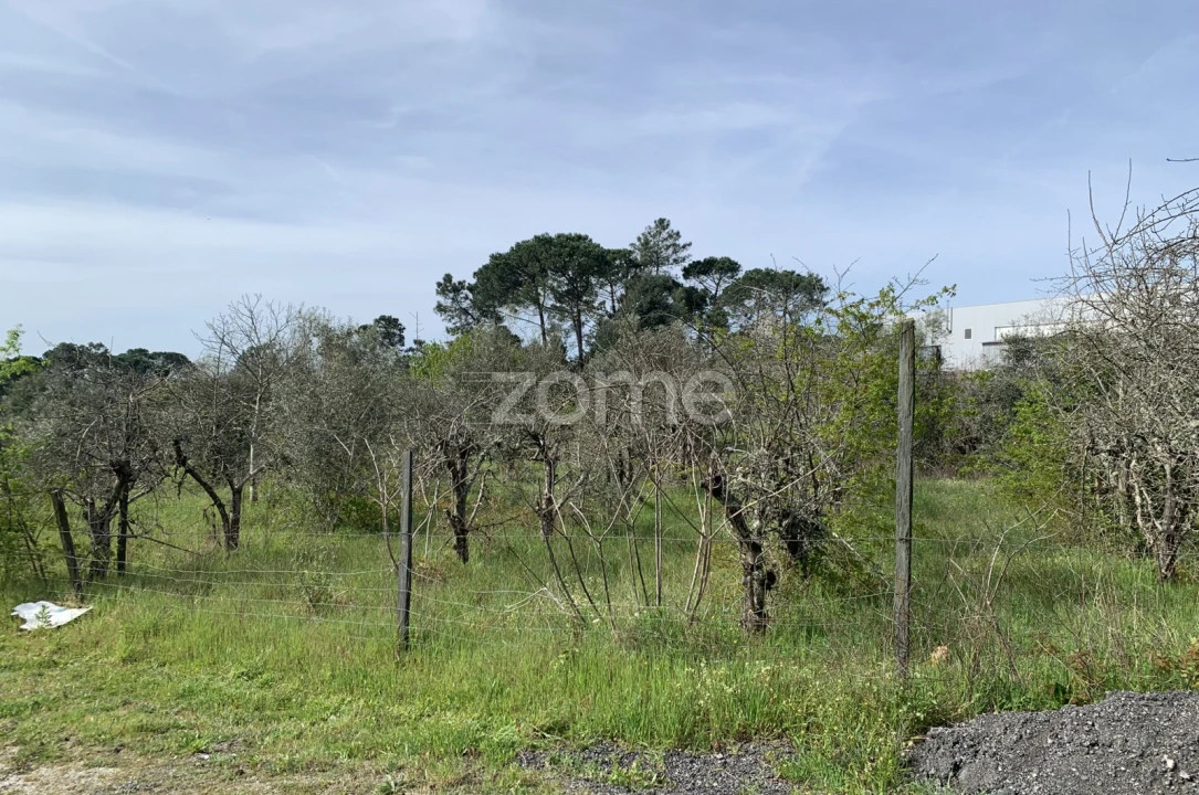Terreno para Venda em Faíl e Vila Chã de Sá Foto 12