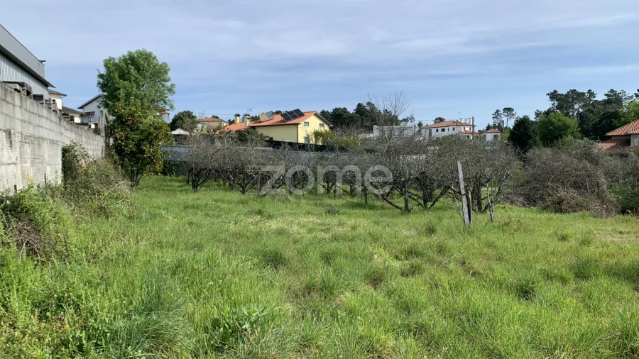 Terreno para Venda em Faíl e Vila Chã de Sá