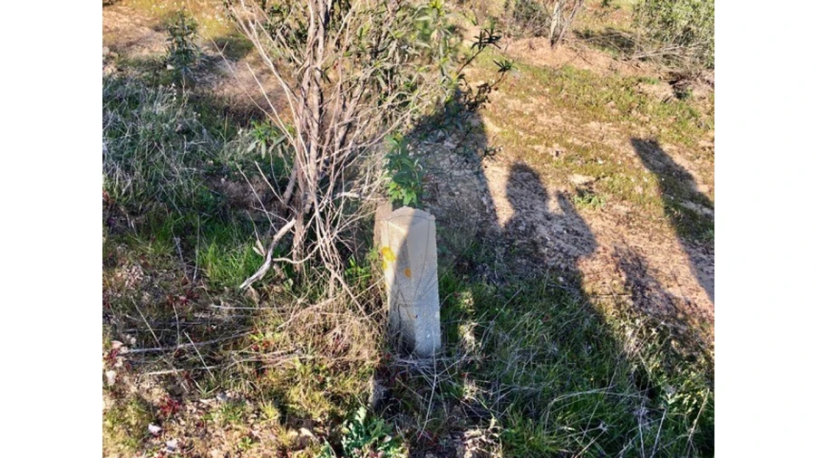 Terreno para Venda em Mora Foto 7