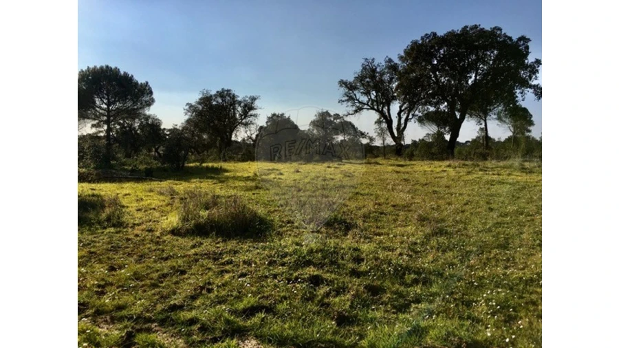 Terreno para Venda em Mora Foto 2