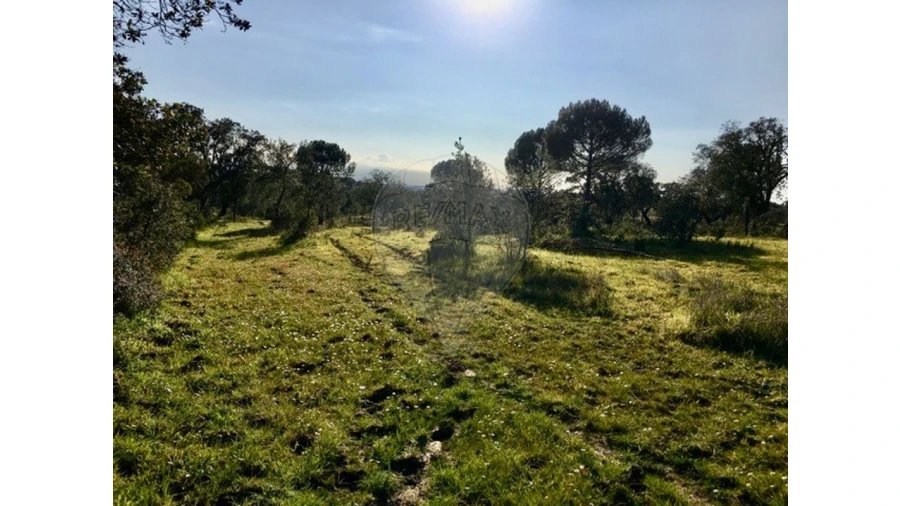 Terreno para Venda em Mora Foto 3