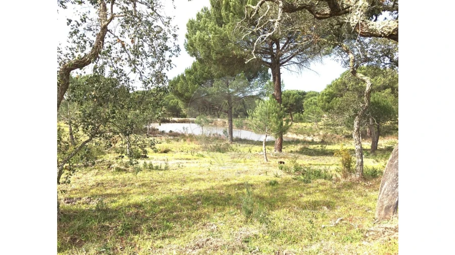 Terreno para Venda em Mora Foto 11