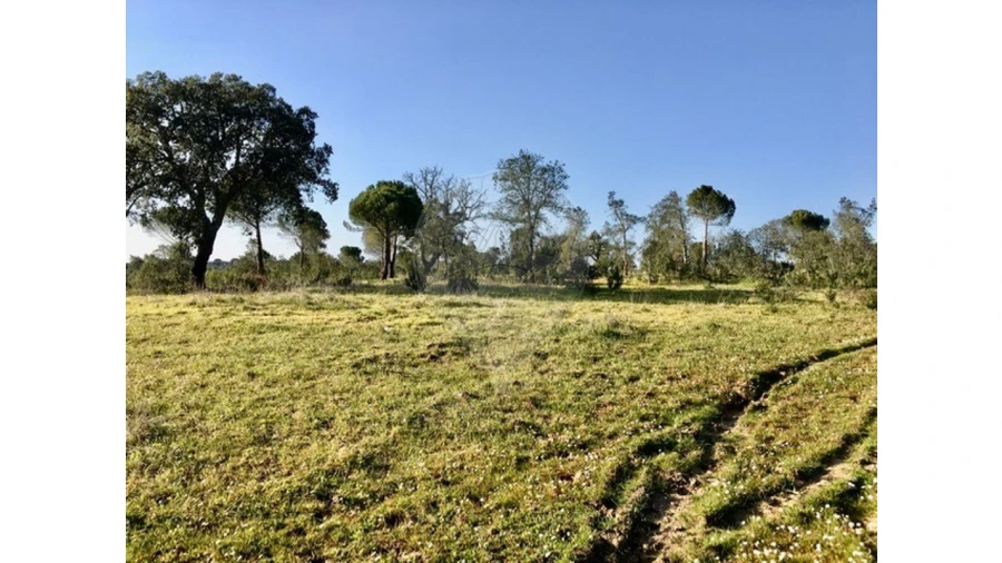 Terreno para Venda em Mora