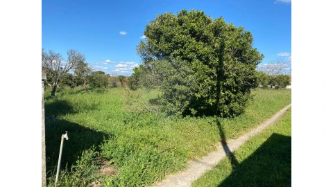 Terreno para Venda em Quinta do Anjo