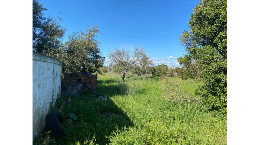 Terreno para Venda em Quinta do Anjo Foto 8