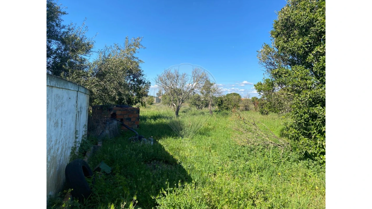 Terreno para Venda em Quinta do Anjo Foto 8