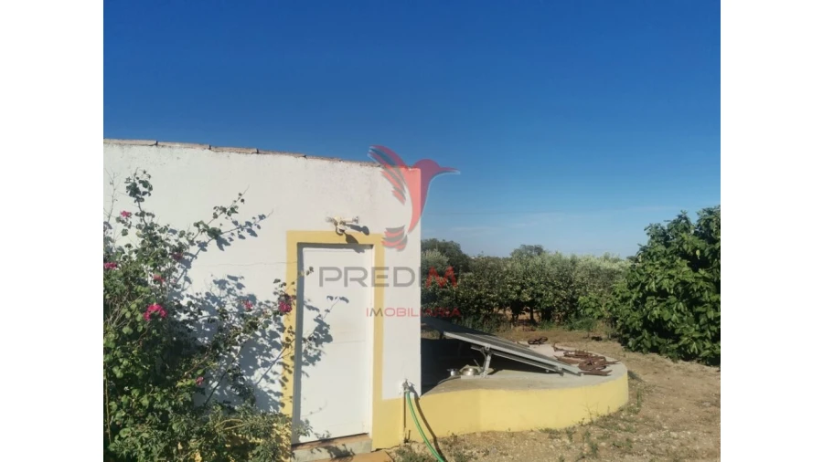 Quinta T5 para Venda em Nossa Senhora das Neves Foto 12