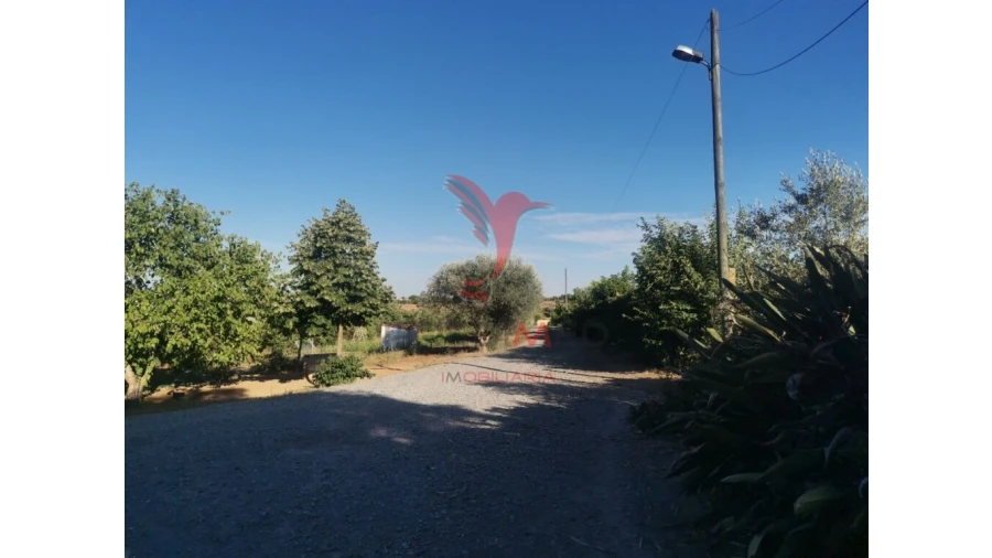 Quinta T5 para Venda em Nossa Senhora das Neves Foto 14