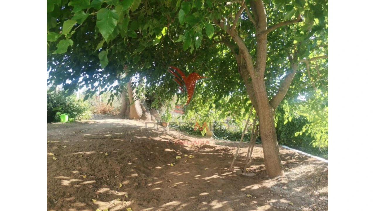 Quinta T5 para Venda em Nossa Senhora das Neves Foto 11