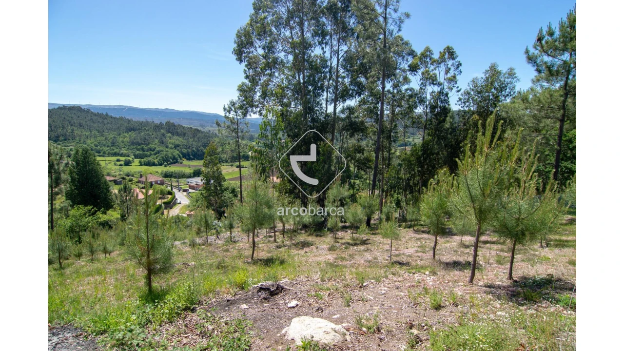 Terreno para Venda em Rubiães Foto 3
