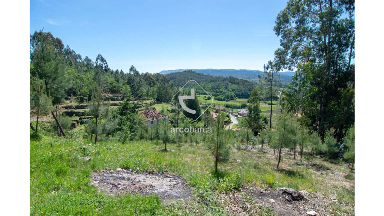 Terreno para Venda em Rubiães Foto 10